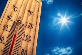 La canicule affecte plusieurs wilayas du pays - Réveil d'algérie