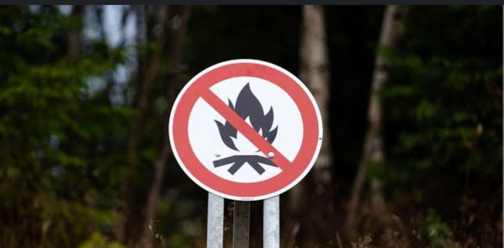 Interdiction des barbecues et du camping dans les forêts - Réveil d'algérie