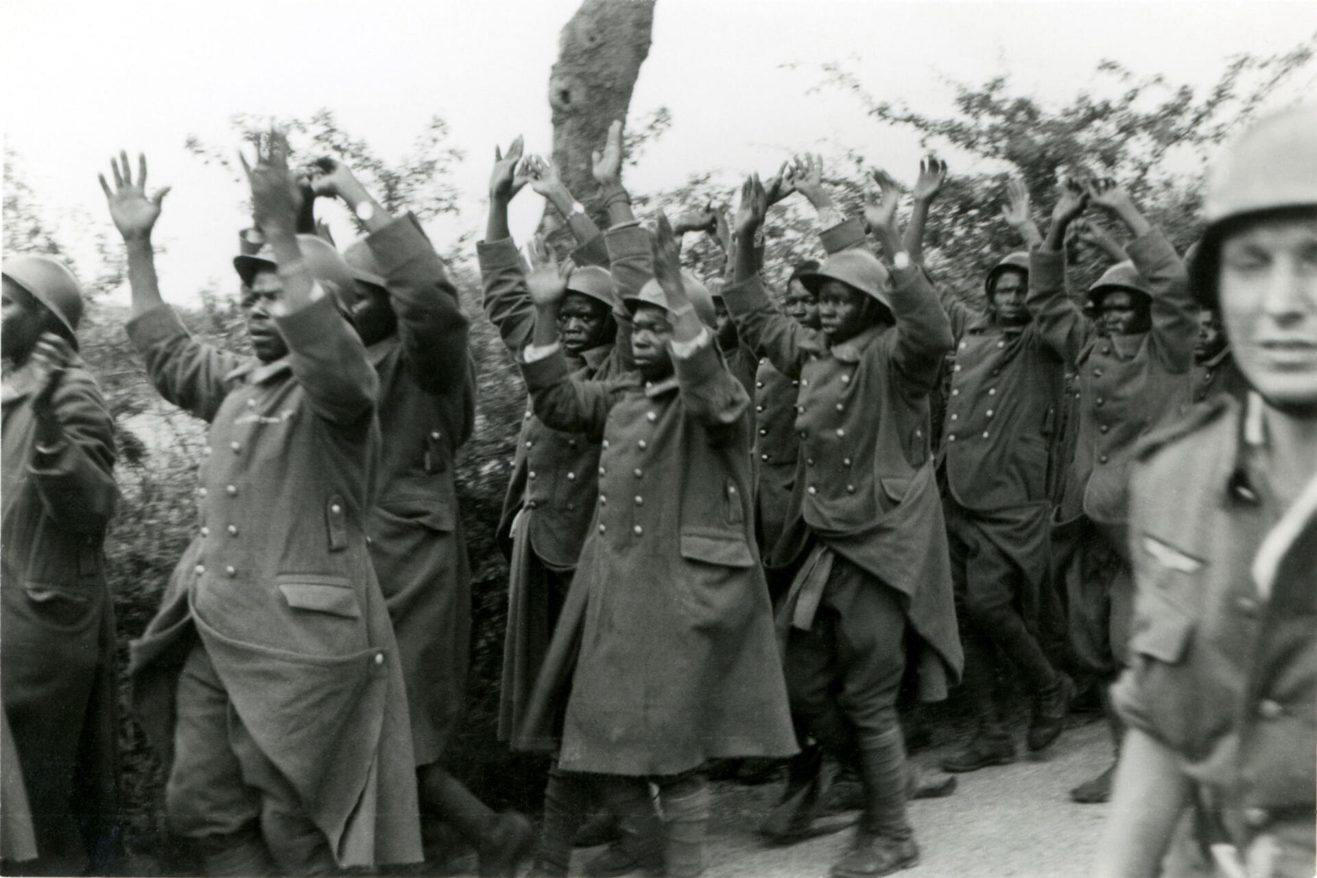 Commémorations des batailles contre le nazisme : L’oubli des armées coloniales - Réveil d'algérie