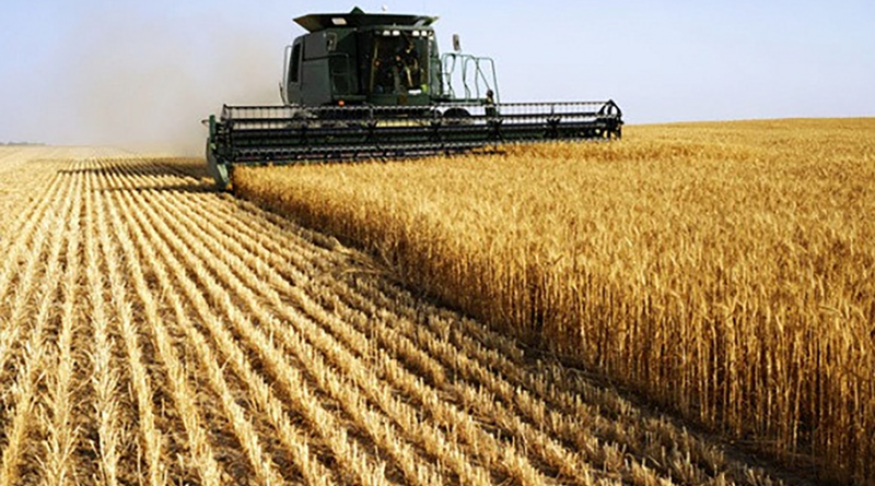 Investissement italien dans l’agro-alimentaire : L’accord-cadre signé - Réveil d'algérie